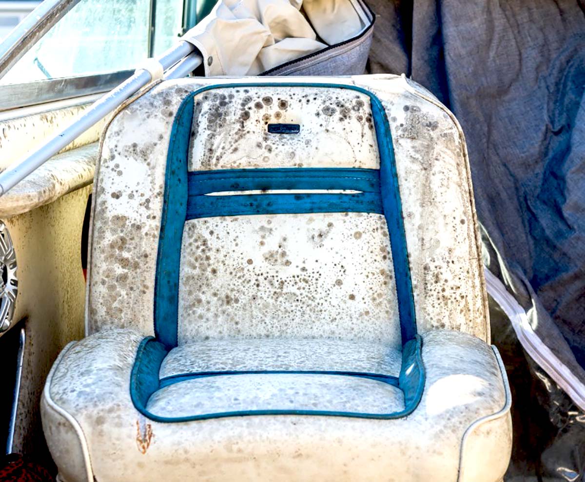 TEKNE KOLTUKLARI YIKAMA HİZMETİ